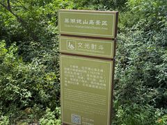 -巢湖姥山岛