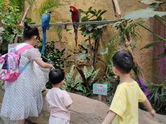 -杭州开元森泊度假乐园