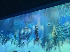 -哈尔滨波塞冬海底世界