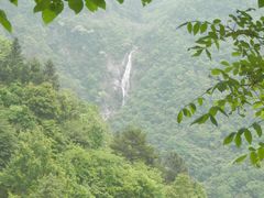 -东天目山风景区