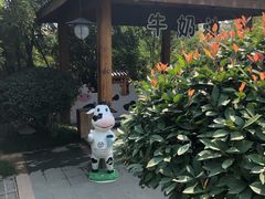 -郑州银基黄帝宫御温泉