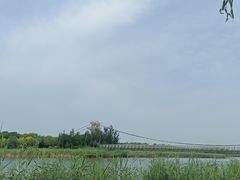 -西青郊野公园