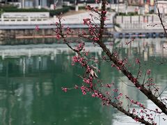 -望江楼公园
