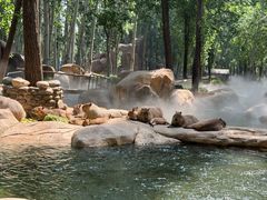 -北京野生动物园