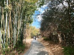 -水底山庄园温泉