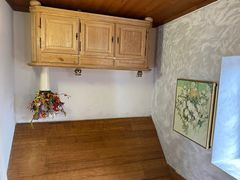 -金山农民画村-枫泾波兰倒置屋