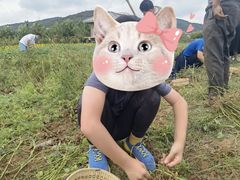 -大连北马山庄