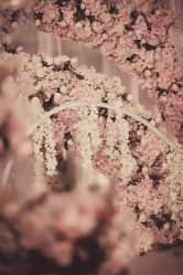 -天泰一站式婚宴·宴会厅