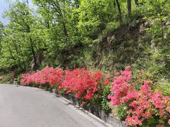 -西泰山风景区