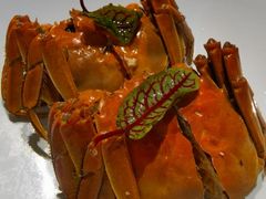 -颂福楼·南京菜(定淮门店)