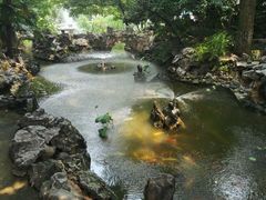 android_upload_pic-蒋宋旧居爱庐