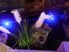 -绿茶餐厅(燕郊永旺店)