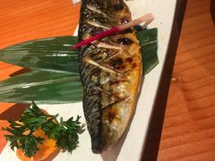 盐烤青花鱼-文三酒肆自助放题(新街口友谊广场店)