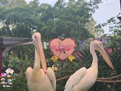 -广州长隆国际大马戏