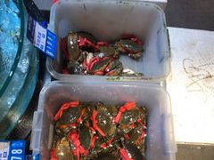 -强记海鲜·大排档(蛇口新街店)