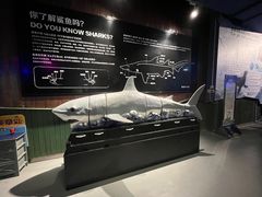 -石家庄海洋公园