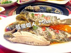 -海岛渔村大酒店(云霄路店)