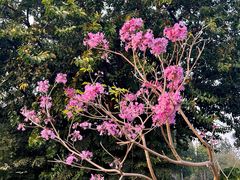 -人民公园(罗湖区)