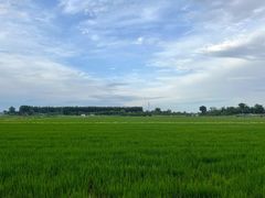-稻香湖景欢乐岛温泉城堡