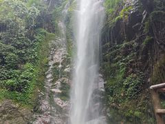 -莫里热带雨林景区
