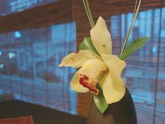 -丽晶轩中餐厅(重庆丽晶酒店)