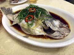 -广宁炭炉鸡煲·富临门饭店