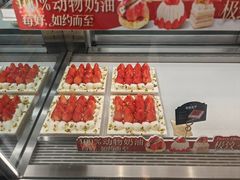 -极致味道动物奶油生日蛋糕(时尚店)