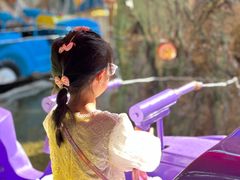 -顺德大良半月城游乐场