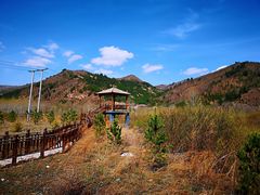 -塞罕坝国家级自然保护区