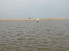 -刘家湾赶海园