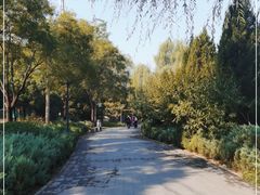 -北坞公园