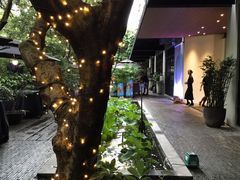 -T館·花园艺术餐厅
