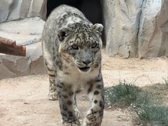 -青藏高原野生动物园