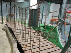 -上海大自然野生昆虫馆(东方明珠·爬宠昆虫探索中心)