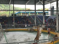 -泉州海丝野生动物世界