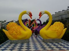 -百万葵园