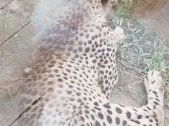 -武汉动物园