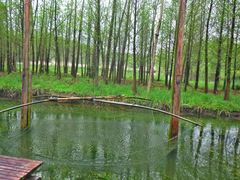 -溱湖国家湿地公园