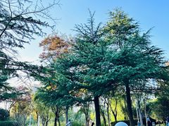 -新虹桥中心花园