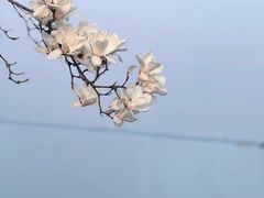 -阳澄湖半岛旅游度假区