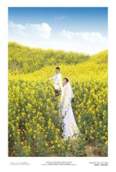 -天一婚纱摄影TIA STUDIO(珠海路店)
