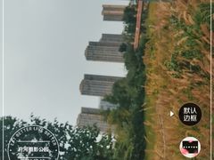 -府河摄影公园