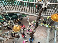 -正佳雨林生态植物园