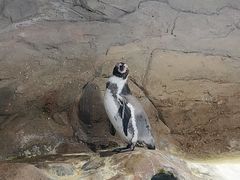 -秦皇岛新澳海底世界