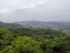 -福道