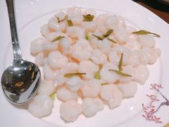 太湖碧绿河虾仁-上海金陵紫金山大酒店·汇海餐厅