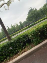 -HEYAN长风荷妍专业脱毛美肤
