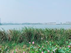 -金银湖国家城市湿地公园