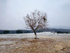 -钟山体育运动公园