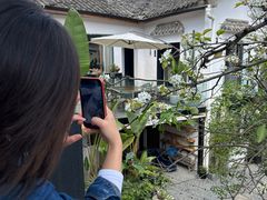 -云里小坐·小院里·团建·宴请·下午茶(三圣乡店)